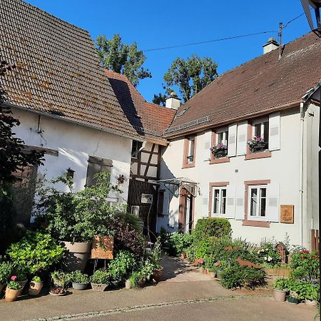 Maison d'hôtes La Renardière Reichshoffen Exterior foto